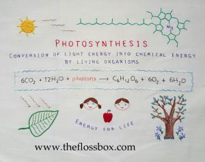 Photosynthesis